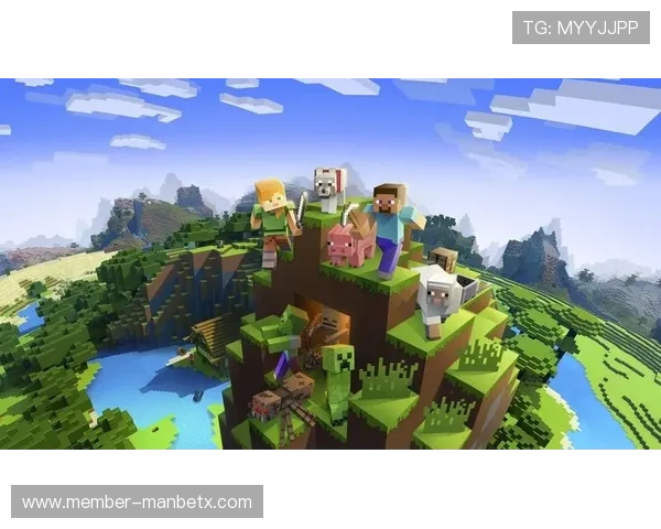 manbetx手机登陆常见问题解析与解决方案助你顺利完成登录