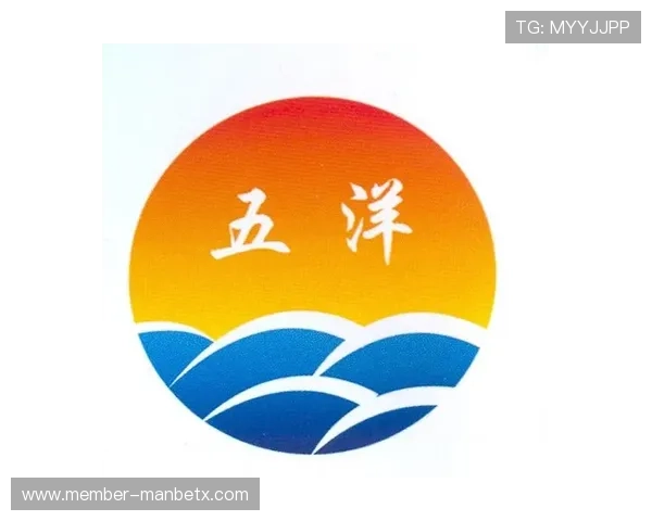 万博max登录版官方网站网页版登录界面优化与用户体验提升措施详解