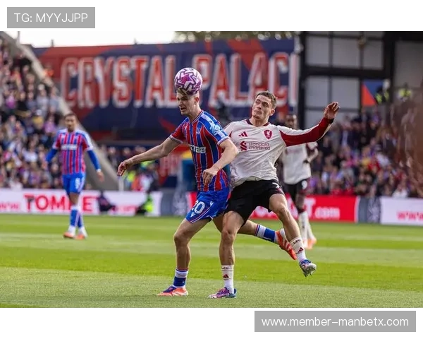 万博体育网页水晶宫球迷必看：球队最新动态与精彩赛事回顾